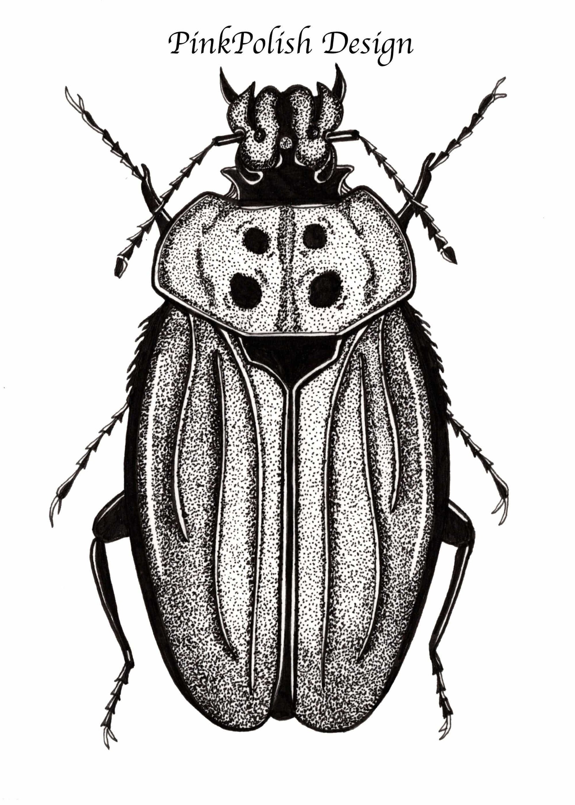 PinkPolish Design Art Prints "Beetle Distraction" Ink Drawing: Art Print