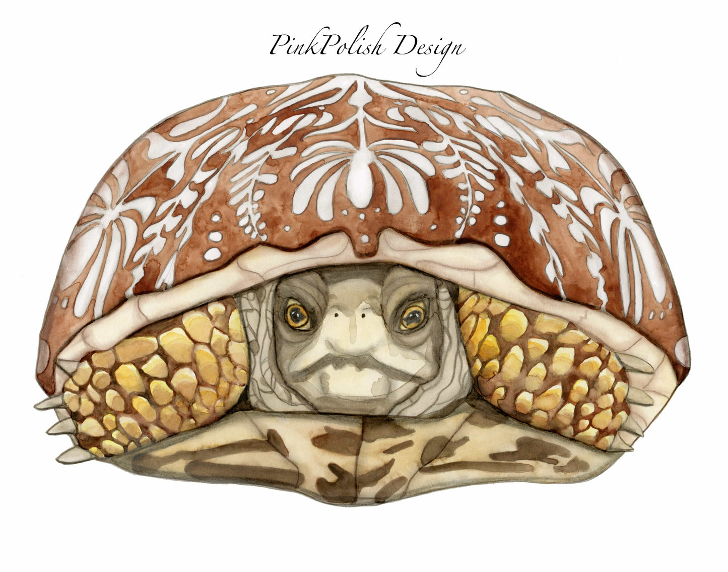 PinkPolish Design Art Prints 11"x14" "Folk Art Sea Turtle" Watercolor Painting: Art Print