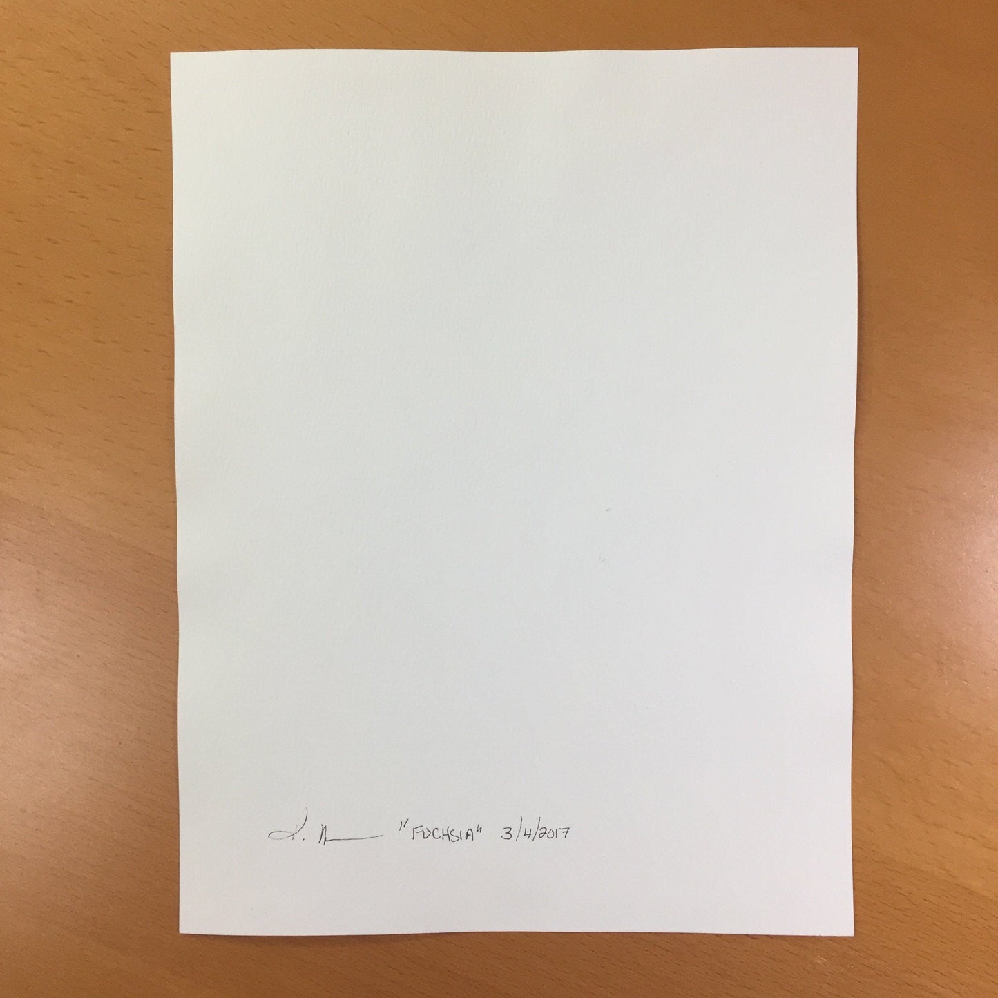 PinkPolish Design Original Art "Fuchsia" Flower Inspired Original Watercolor & Ink Illustration