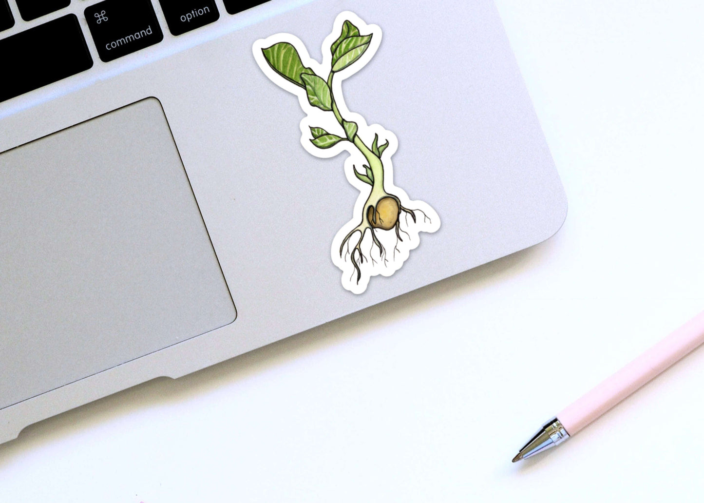 PinkPolish Design Stickers "Garbonzo Bean Sprout" Vinyl Die Cut Sticker