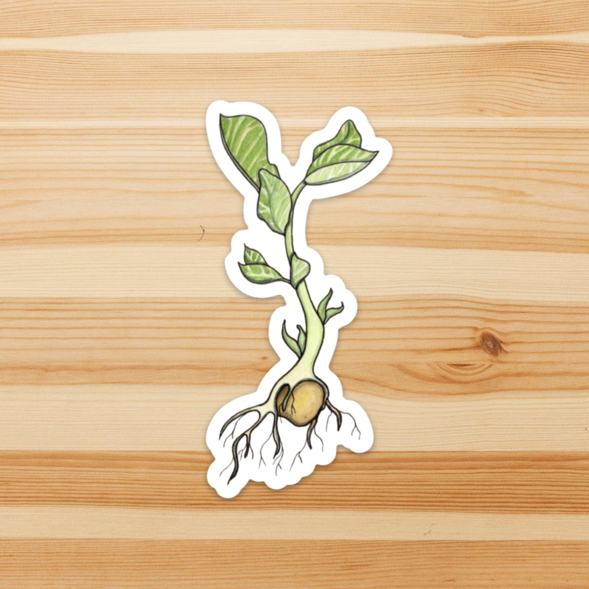 PinkPolish Design Stickers "Garbonzo Bean Sprout" Vinyl Die Cut Sticker