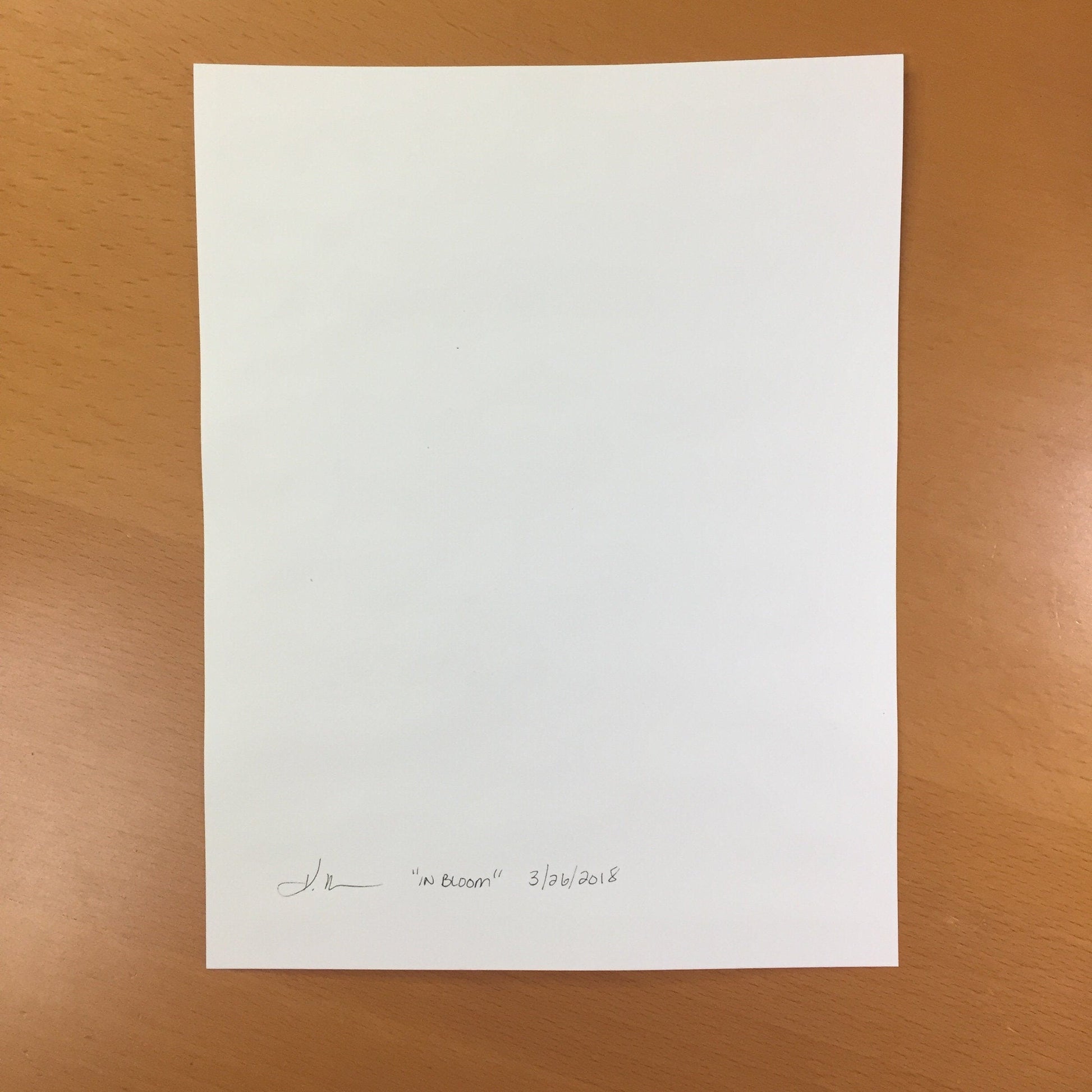 PinkPolish Design Original Art "In Bloom"  Chrysanthemum Inspired Original Watercolor & Ink Illustration