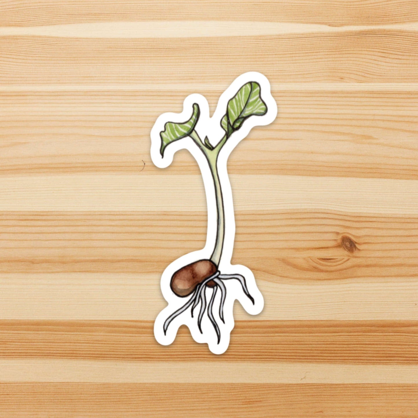 PinkPolish Design Stickers "Kidney Bean Sprout" Vinyl Die Cut Sticker
