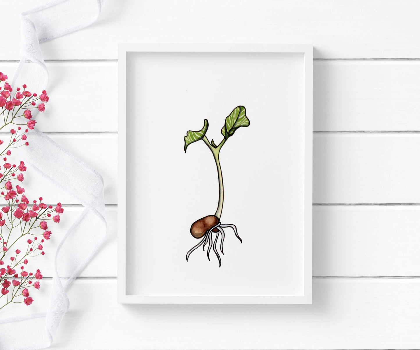 PinkPolish Design Art Prints "Kidney Bean Sprout" Watercolor Painting: Art Print