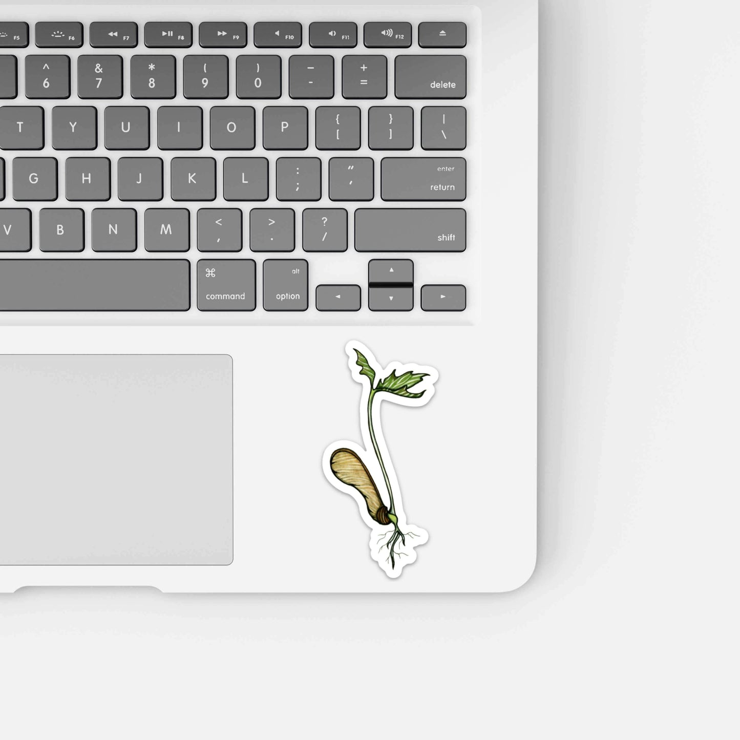 PinkPolish Design Stickers "Maple Tree Sprout" Vinyl Die Cut Sticker
