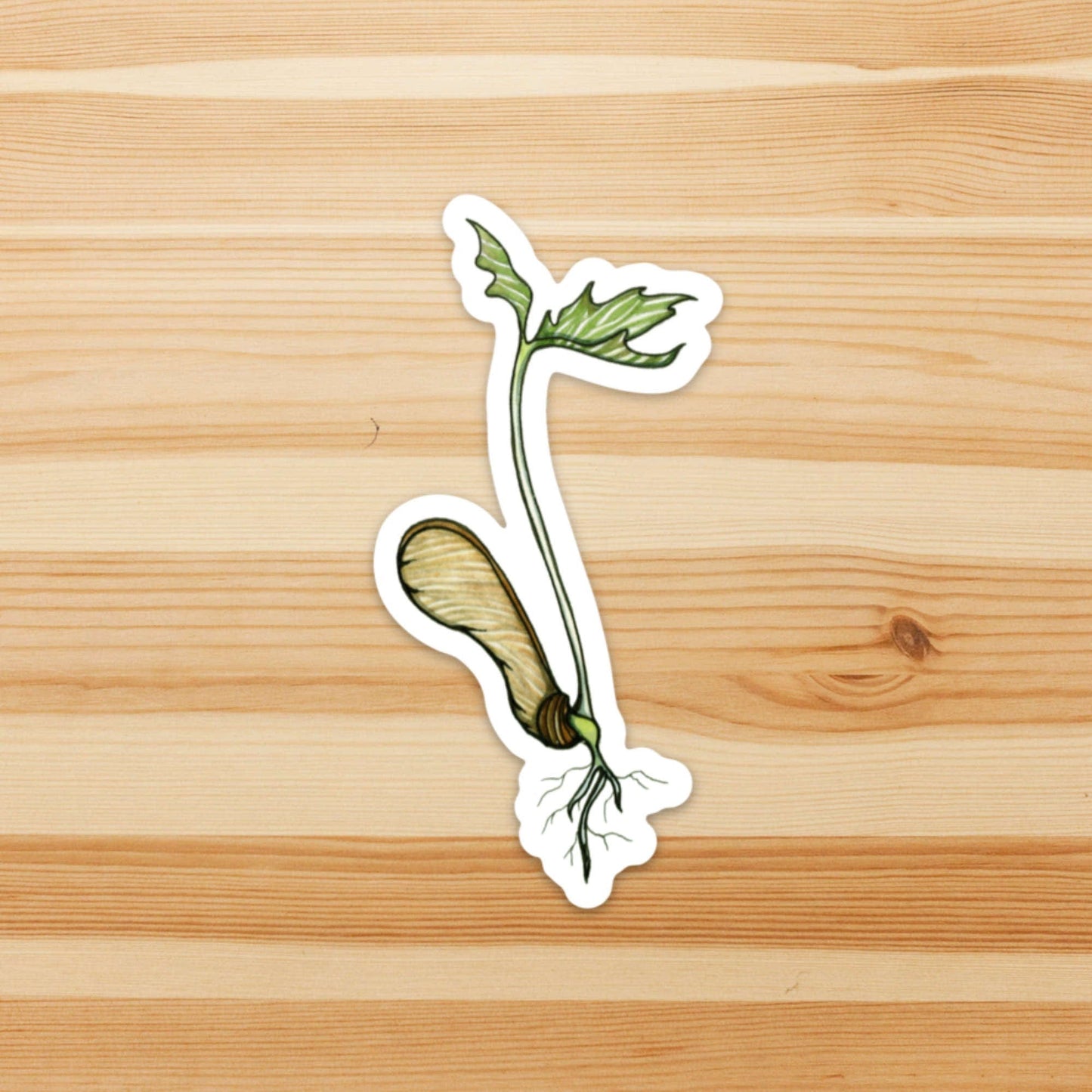 PinkPolish Design Stickers "Maple Tree Sprout" Vinyl Die Cut Sticker