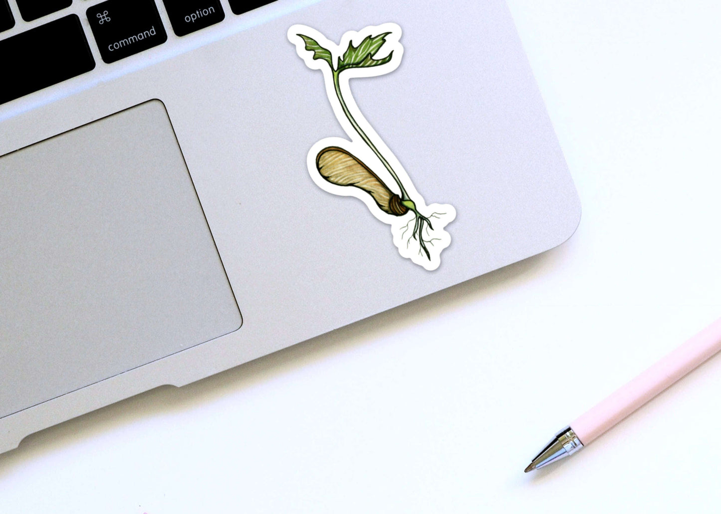 PinkPolish Design Stickers "Maple Tree Sprout" Vinyl Die Cut Sticker