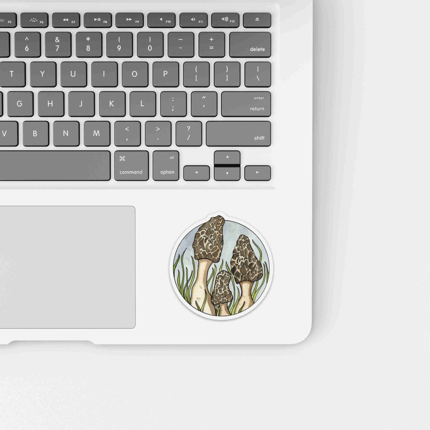 PinkPolish Design Stickers "Morel Mushrooms" Die Cut Vinyl Sticker