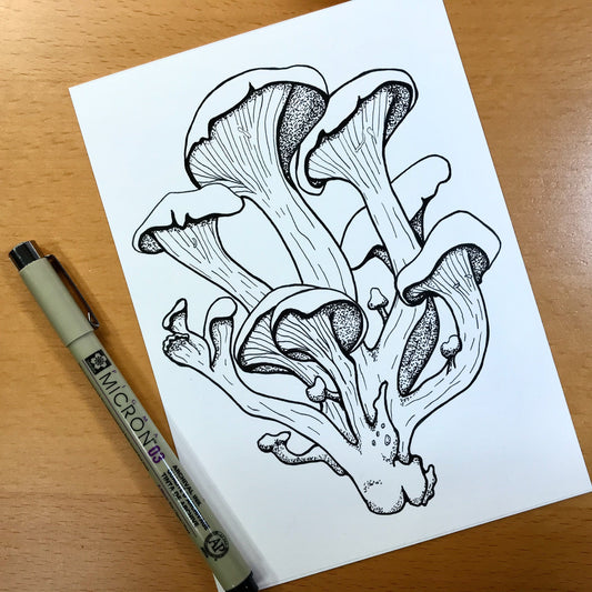 PinkPolish Design Original Art "Oyster Mushroom" PNW Fungi Inspired Original Ink Illustration, 5"x7"