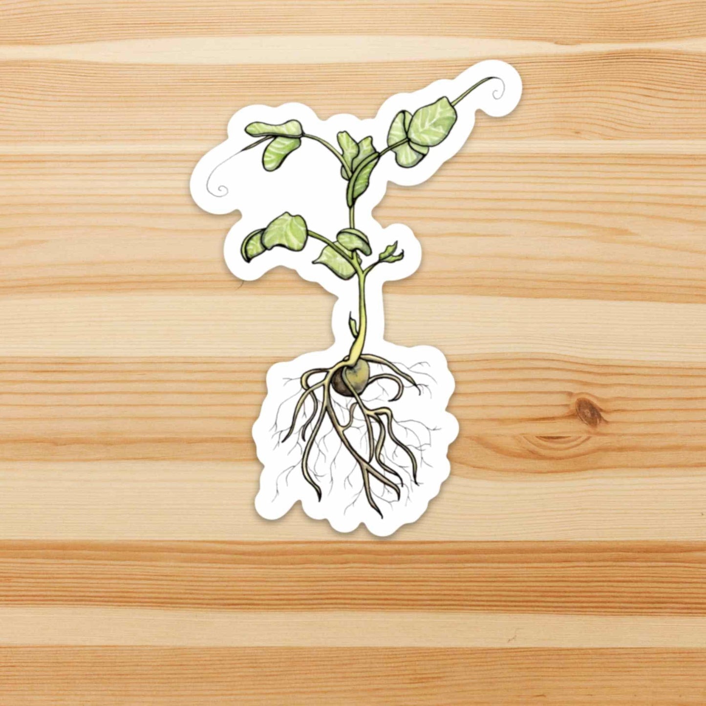 PinkPolish Design Stickers "Pea Sprout" Vinyl Die Cut Sticker