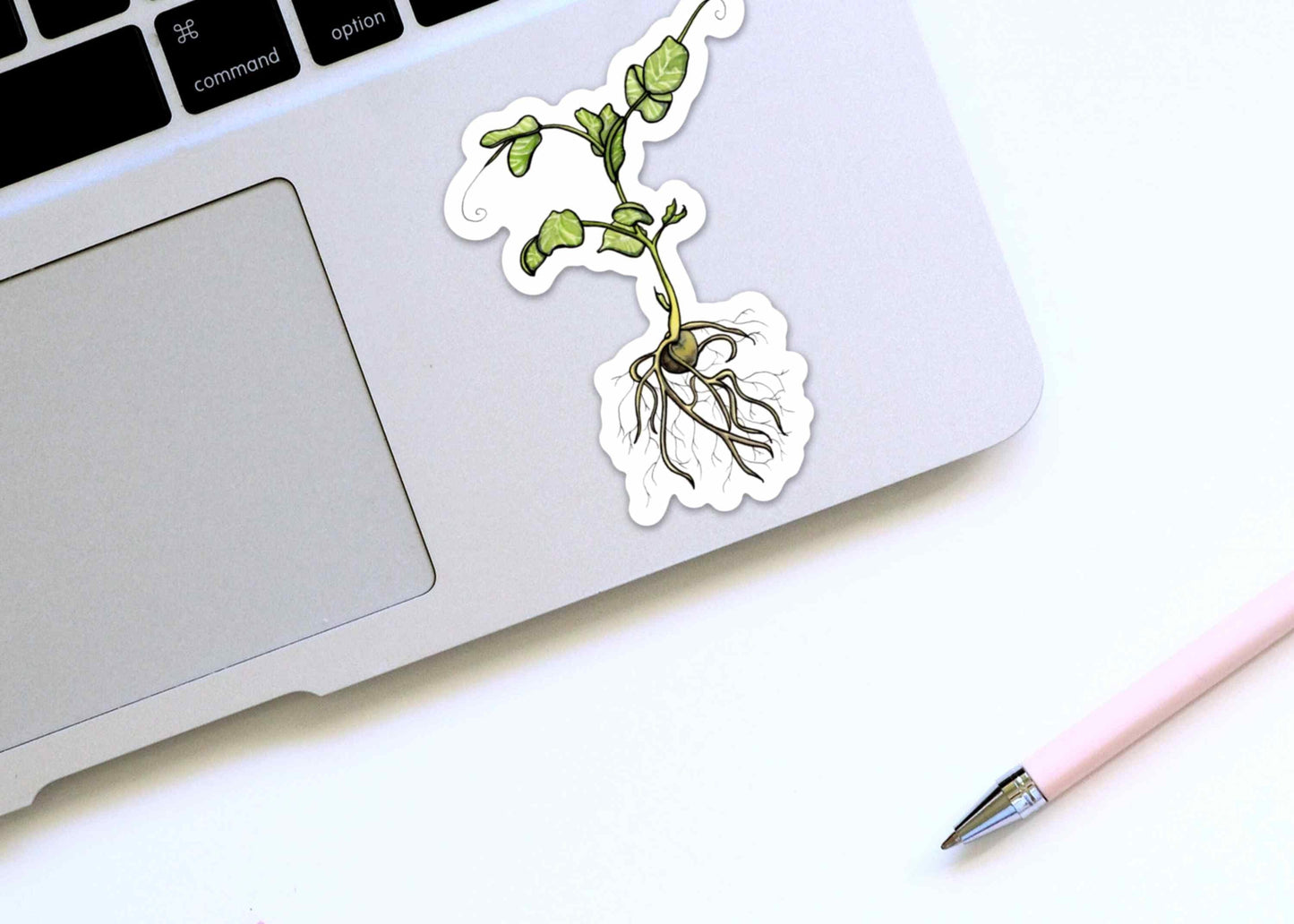 PinkPolish Design Stickers "Pea Sprout" Vinyl Die Cut Sticker