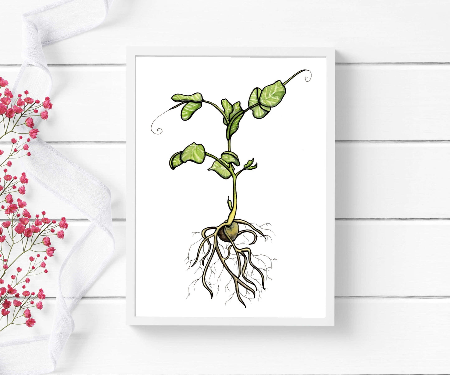 PinkPolish Design Art Prints "Pea Sprout" Watercolor Painting: Art Print