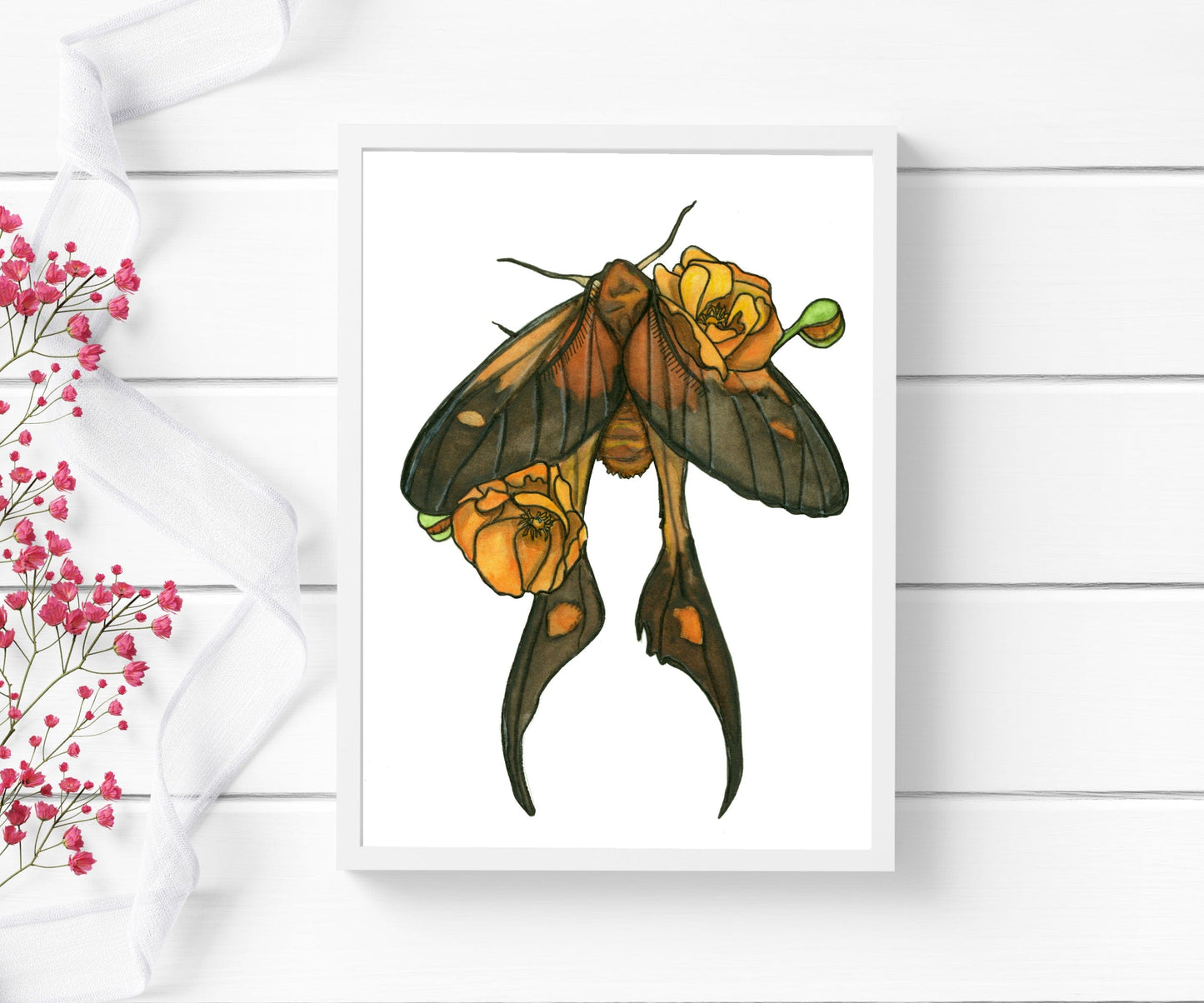 PinkPolish Design Art Prints "Poppy Moth " Watercolor Painting: Art Print