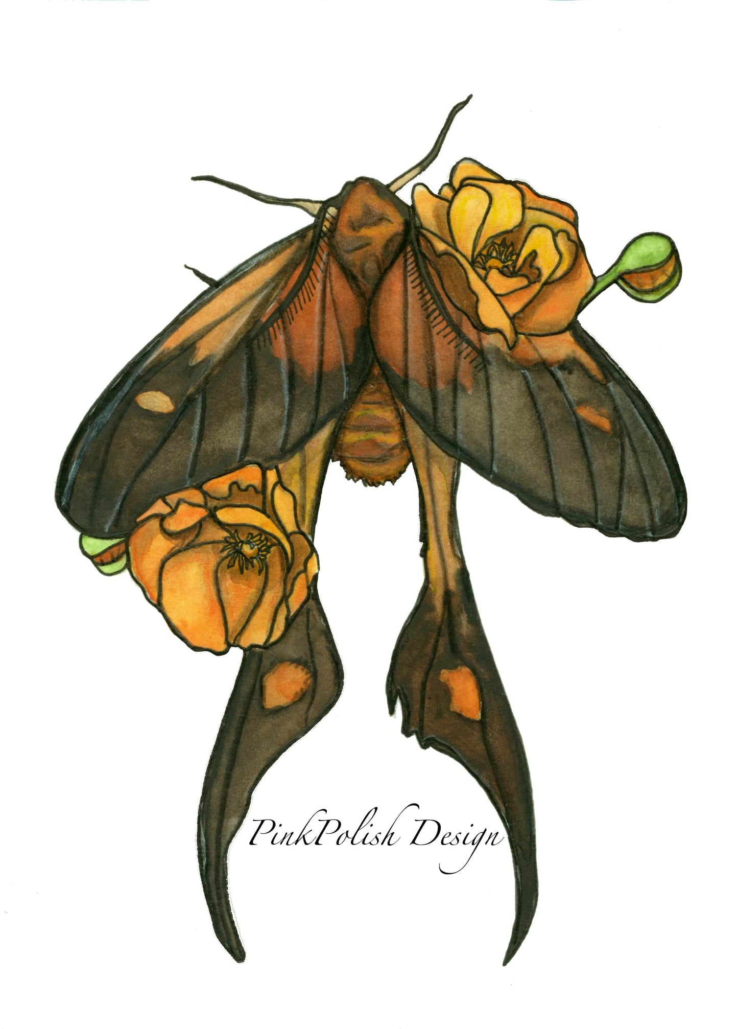 PinkPolish Design Art Prints "Poppy Moth " Watercolor Painting: Art Print