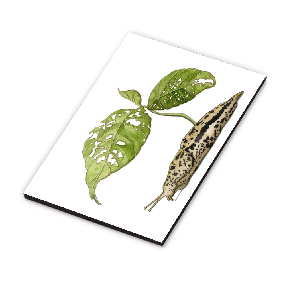PinkPolish Design Magnets "Slug Sprout" Wood Refrigerator Magnet