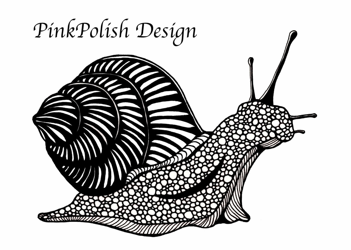PinkPolish Design Art Prints "Snail's Pace, Ink" Ink Drawing: Art Print