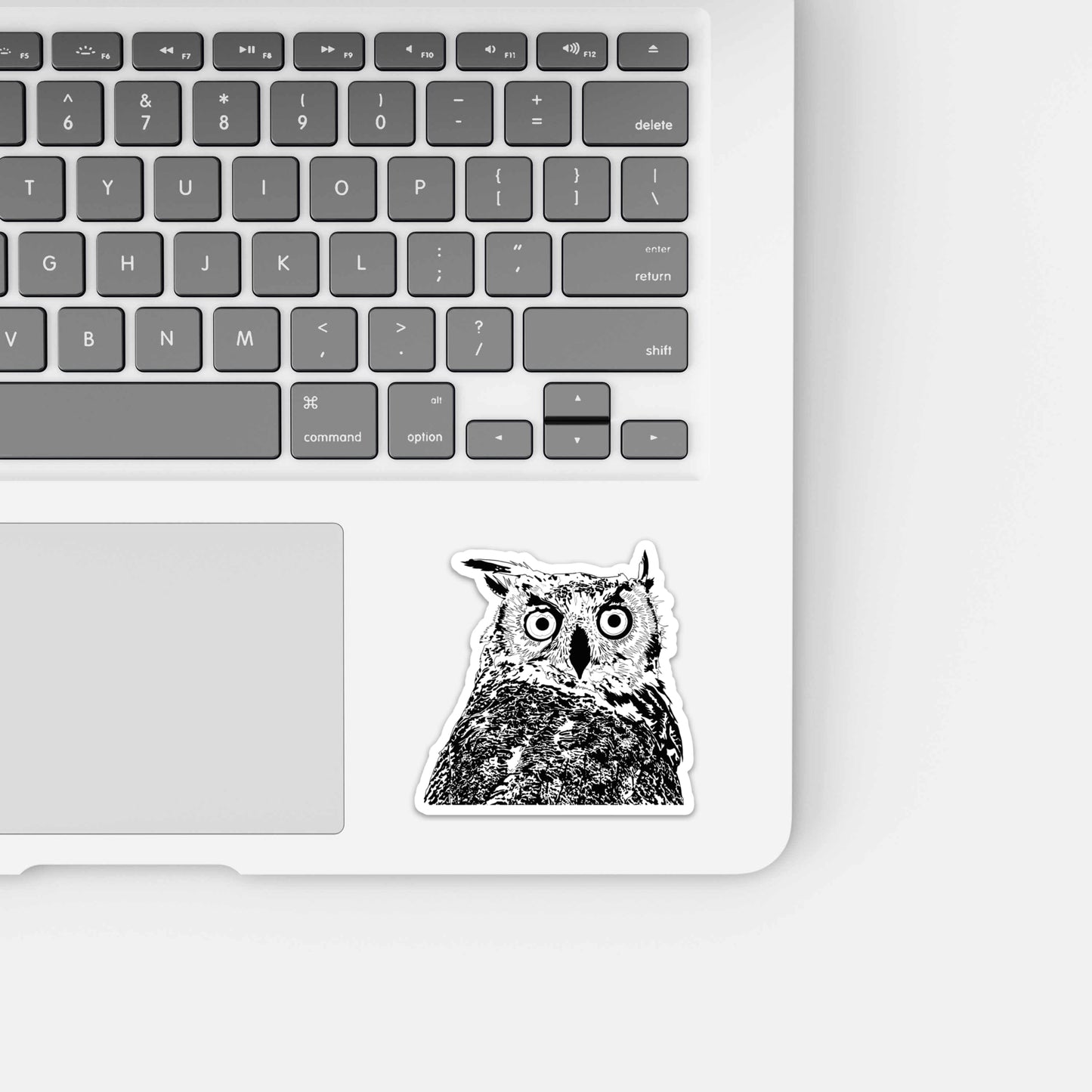 PinkPolish Design Stickers "Stunned Owl" Die Cut Vinyl Sticker