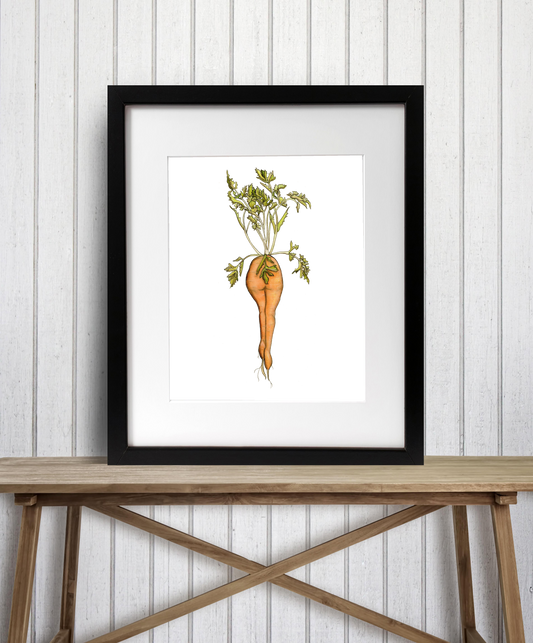 "Naughty Carrot #2"  Watercolor Painting: Art Print