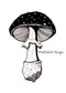 PinkPolish Design Art Prints "Amanita Pettit Mushroom"  Watercolor Painting: Art Print