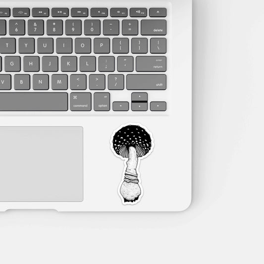 PinkPolish Design Stickers "Amanita Tall" Vinyl Die Cut Sticker