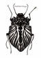 PinkPolish Design Art Prints "Beetle Inspiration" Watercolor Painting: Art Print