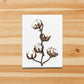 PinkPolish Design Note Cards "Cotton Tails" Handmade Notecard