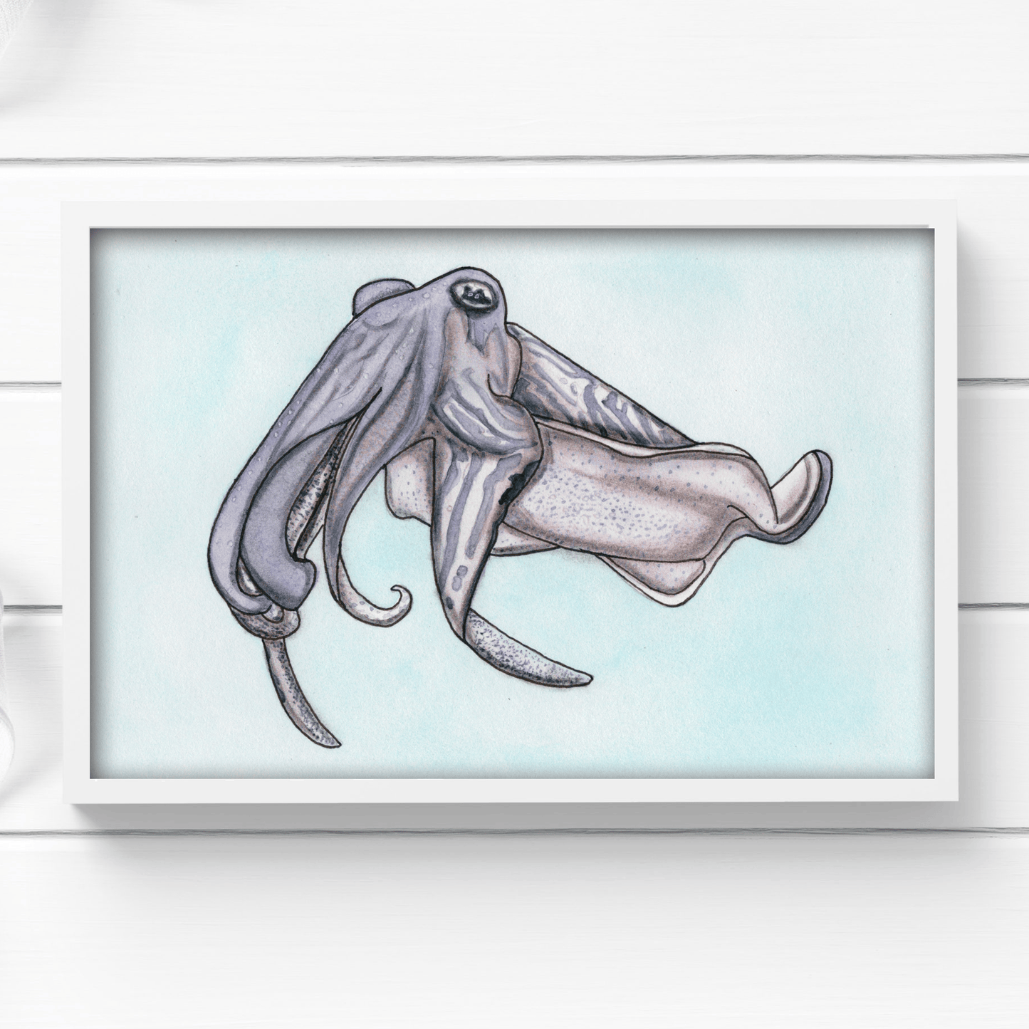 PinkPolish Design Art Prints "Cuttlefish"  Watercolor Painting: Art Print
