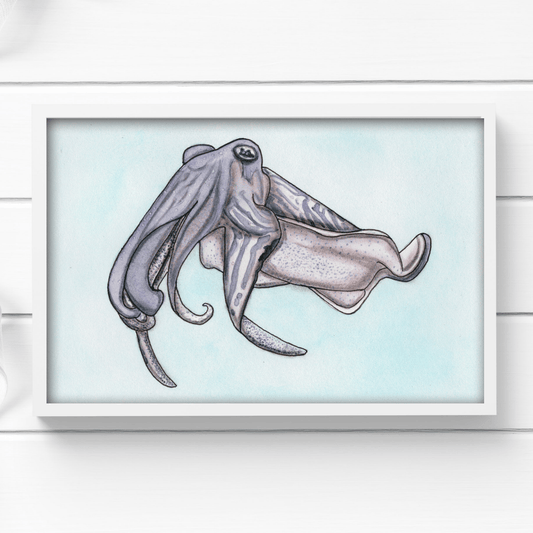 PinkPolish Design Art Prints "Cuttlefish"  Watercolor Painting: Art Print