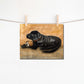 PinkPolish Design Art Prints "Dog Toy"  Watercolor Painting: Art Print