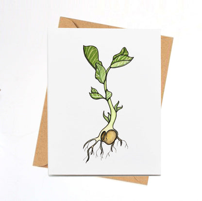 PinkPolish Design Note Cards "Garbanzo Bean Sprout" Handmade Notecard