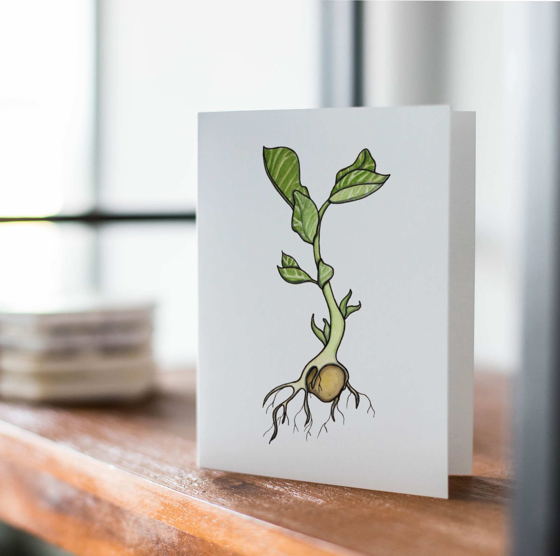 PinkPolish Design Note Cards "Garbanzo Bean Sprout" Handmade Notecard