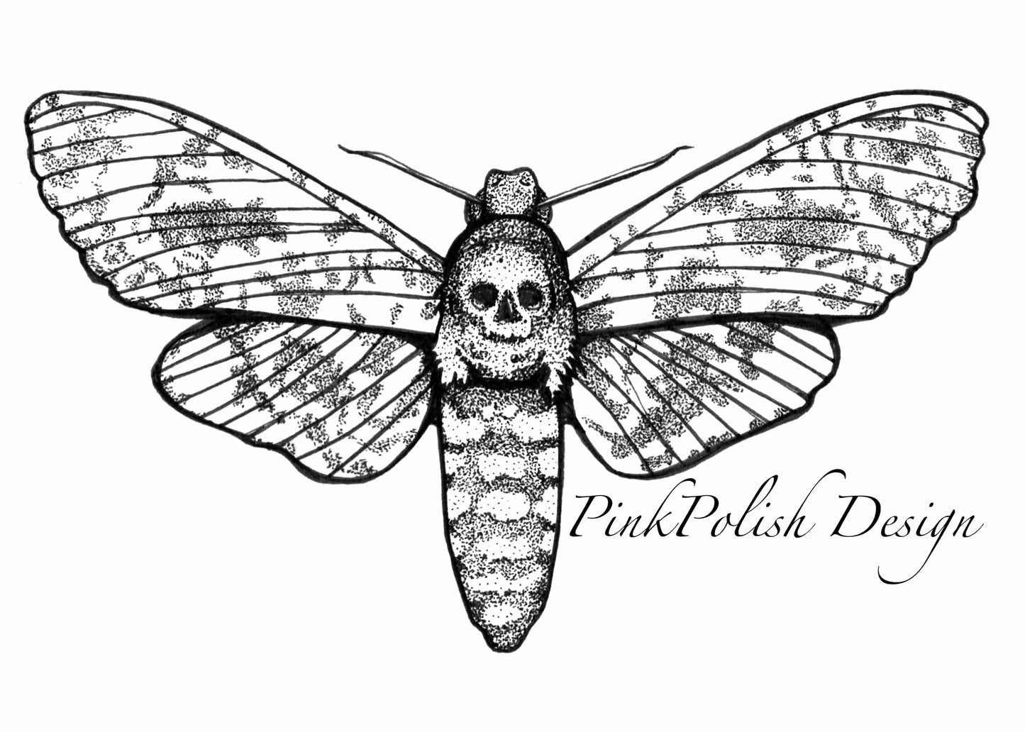 PinkPolish Design Art Prints "Hawkmoth" Ink Drawing: Art Print