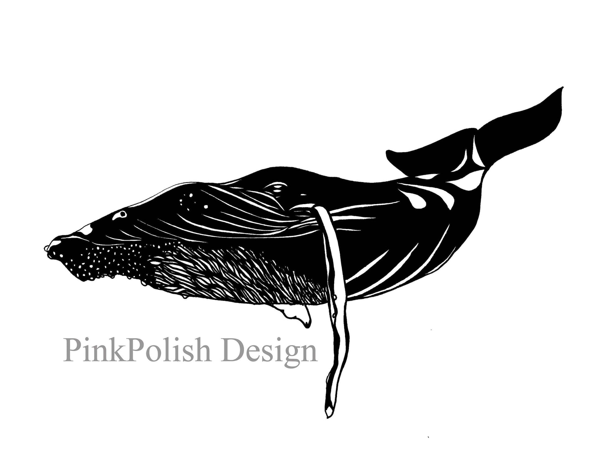 PinkPolish Design Art Prints "Humpback Whale" Ink Drawing: Art Print