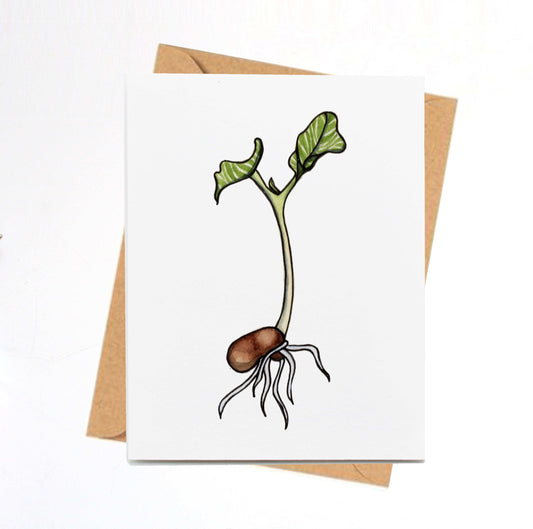 PinkPolish Design Note Cards "Kidney Bean Sprout" Handmade Notecard