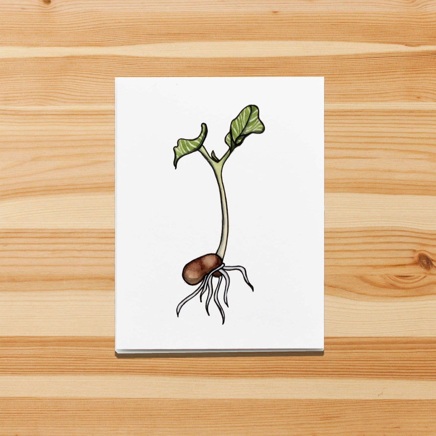 PinkPolish Design Note Cards "Kidney Bean Sprout" Handmade Notecard