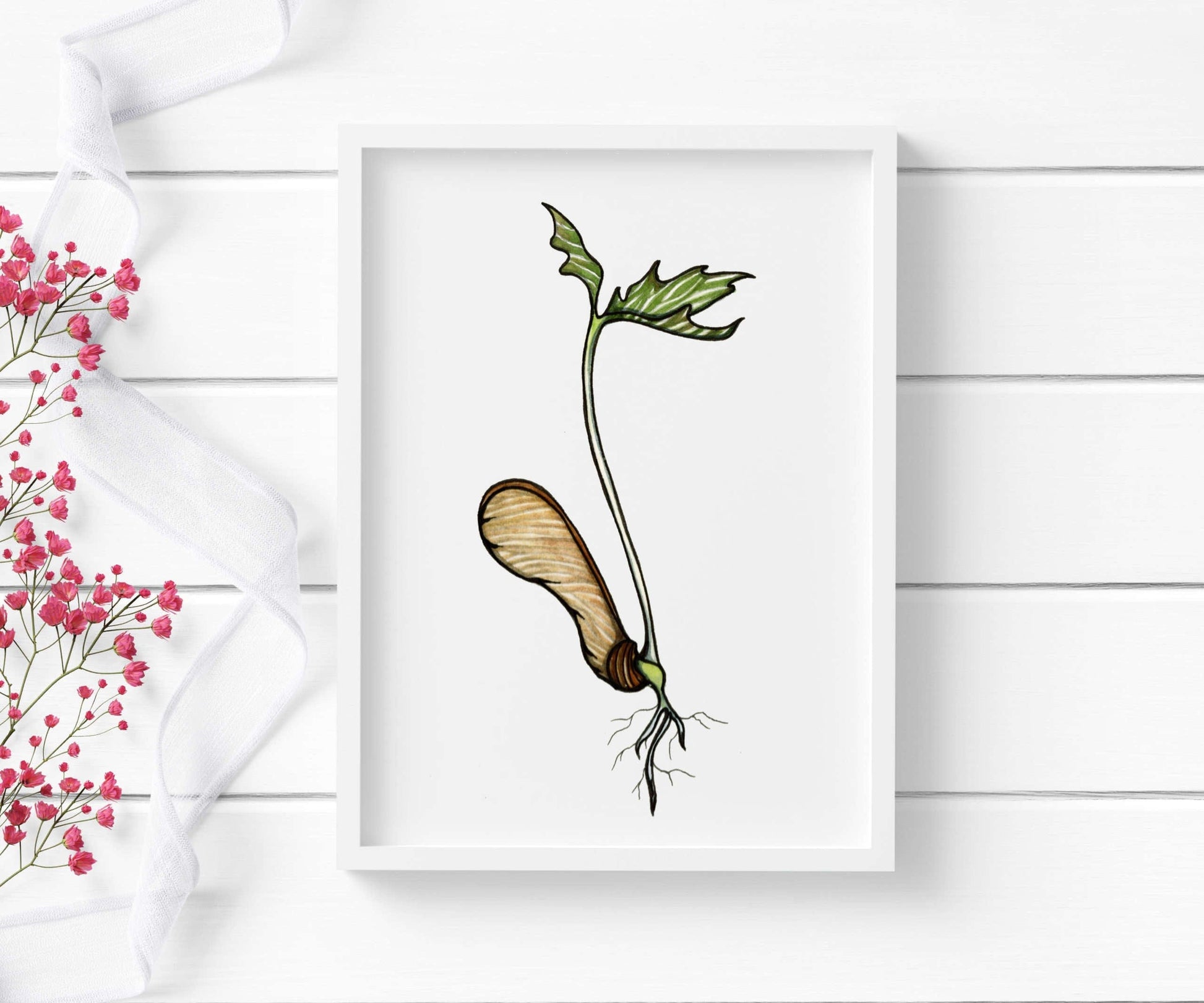 PinkPolish Design Art Prints "Maple Seed Sprout" Watercolor Painting: Art Print