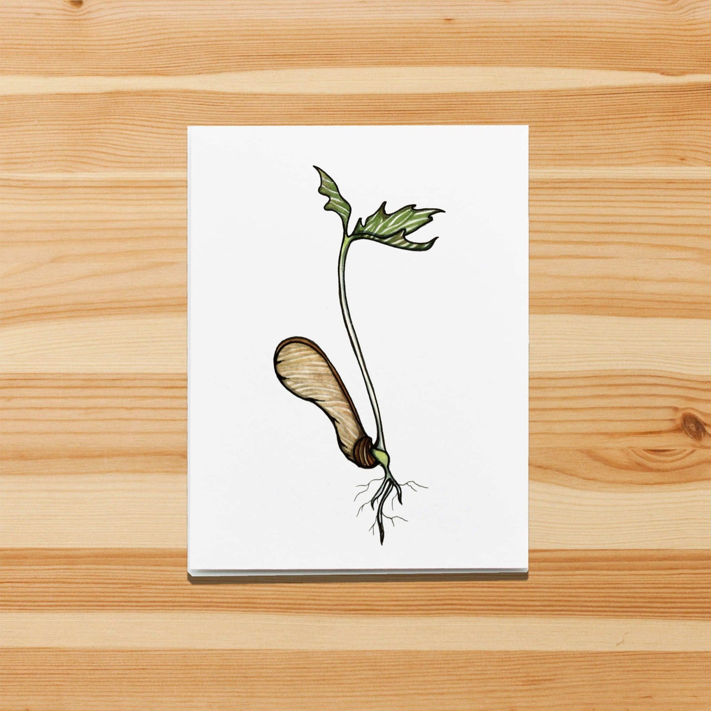 PinkPolish Design Note Cards "Maple Sprout" Handmade Notecard