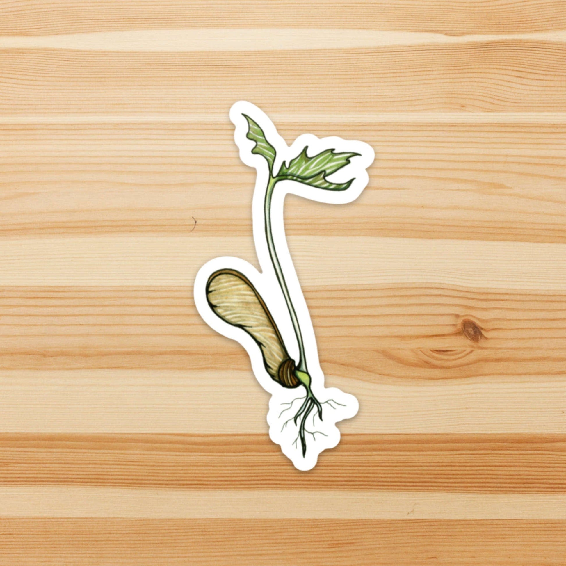 PinkPolish Design Stickers "Maple Tree Sprout" Vinyl Die Cut Sticker