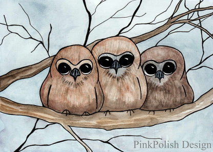 PinkPolish Design Art Prints "Owl Huddle"  Watercolor Painting: Art Print