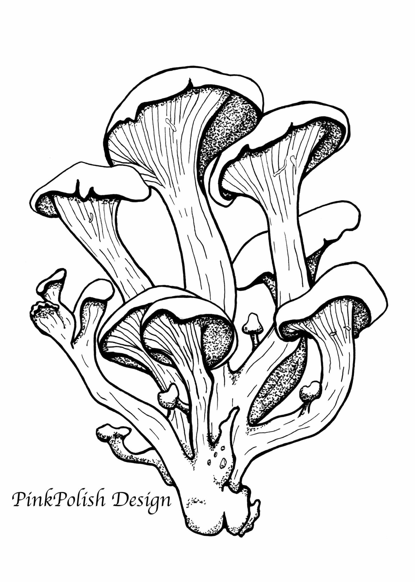 PinkPolish Design Art Prints "Oyster Mushroom" Ink Drawing: Art Print