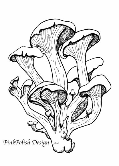 PinkPolish Design Original Art "Oyster Mushroom" PNW Fungi Inspired Original Ink Illustration, 5"x7"