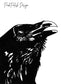 PinkPolish Design Art Prints "Shiny Eyed Corvid"  Ink Drawing: Art Print