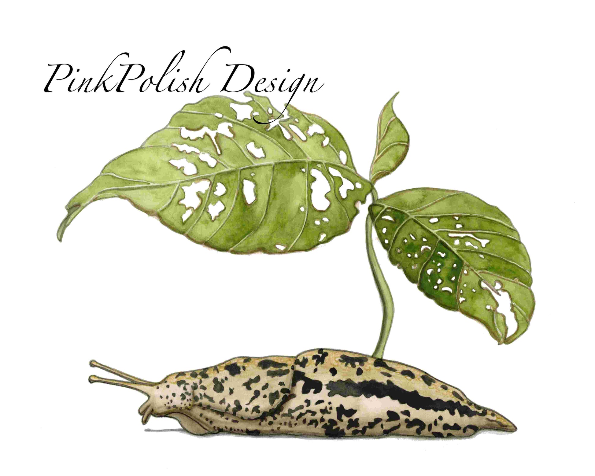 PinkPolish Design Art Prints "Slug Sprout" Watercolor Painting: Art Print
