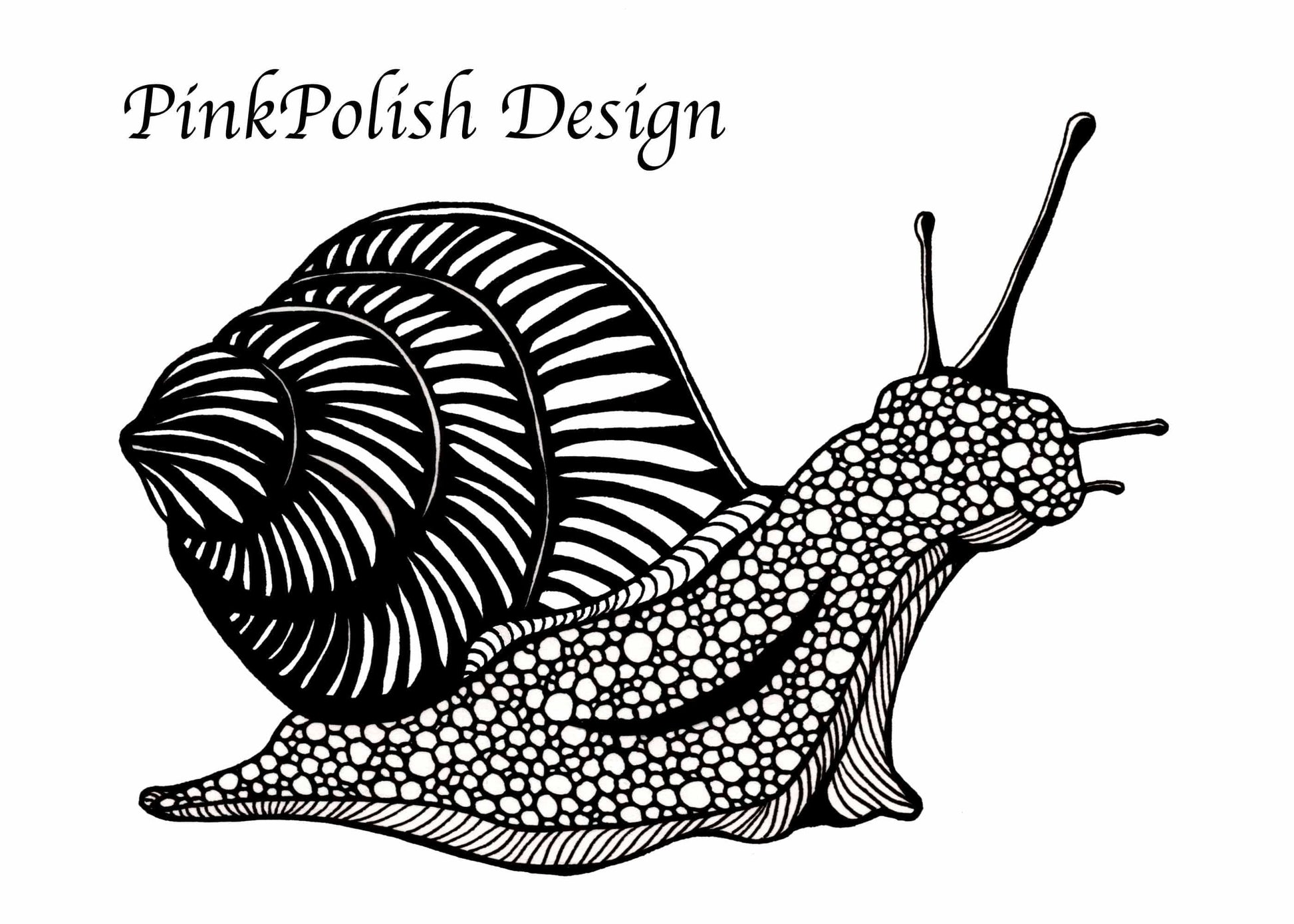 PinkPolish Design Art Prints "Snail's Pace, Ink"  Ink Drawing: Art Print