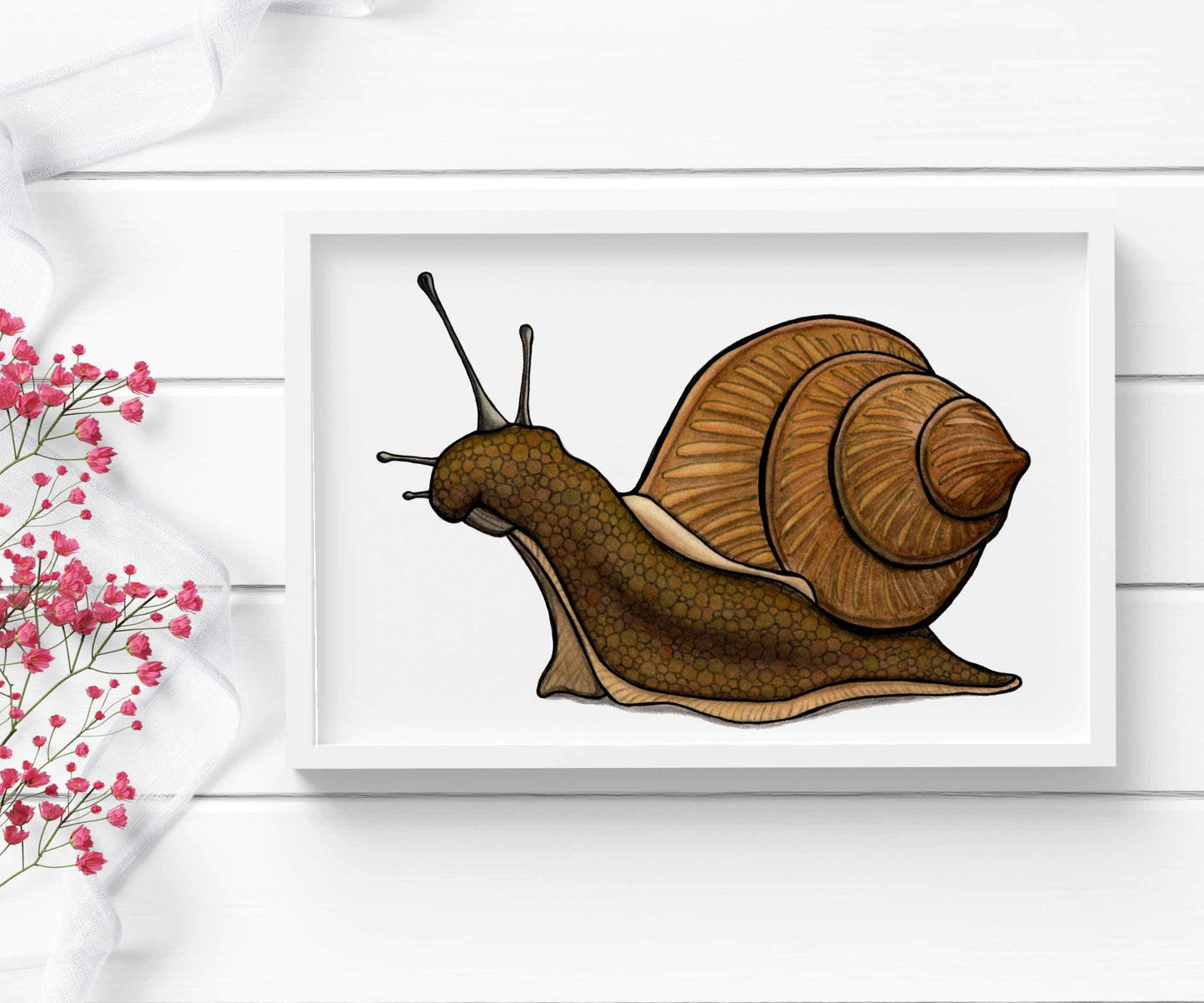 PinkPolish Design Art Prints "Snail's Pace"  Watercolor Painting: Art Print