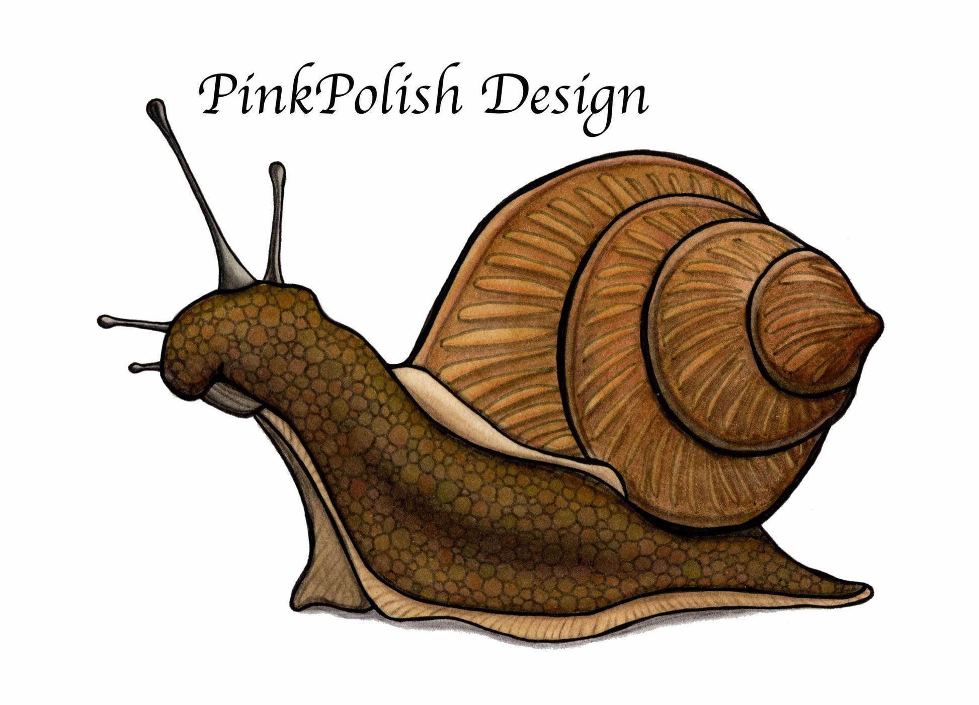 PinkPolish Design Art Prints "Snail's Pace"  Watercolor Painting: Art Print