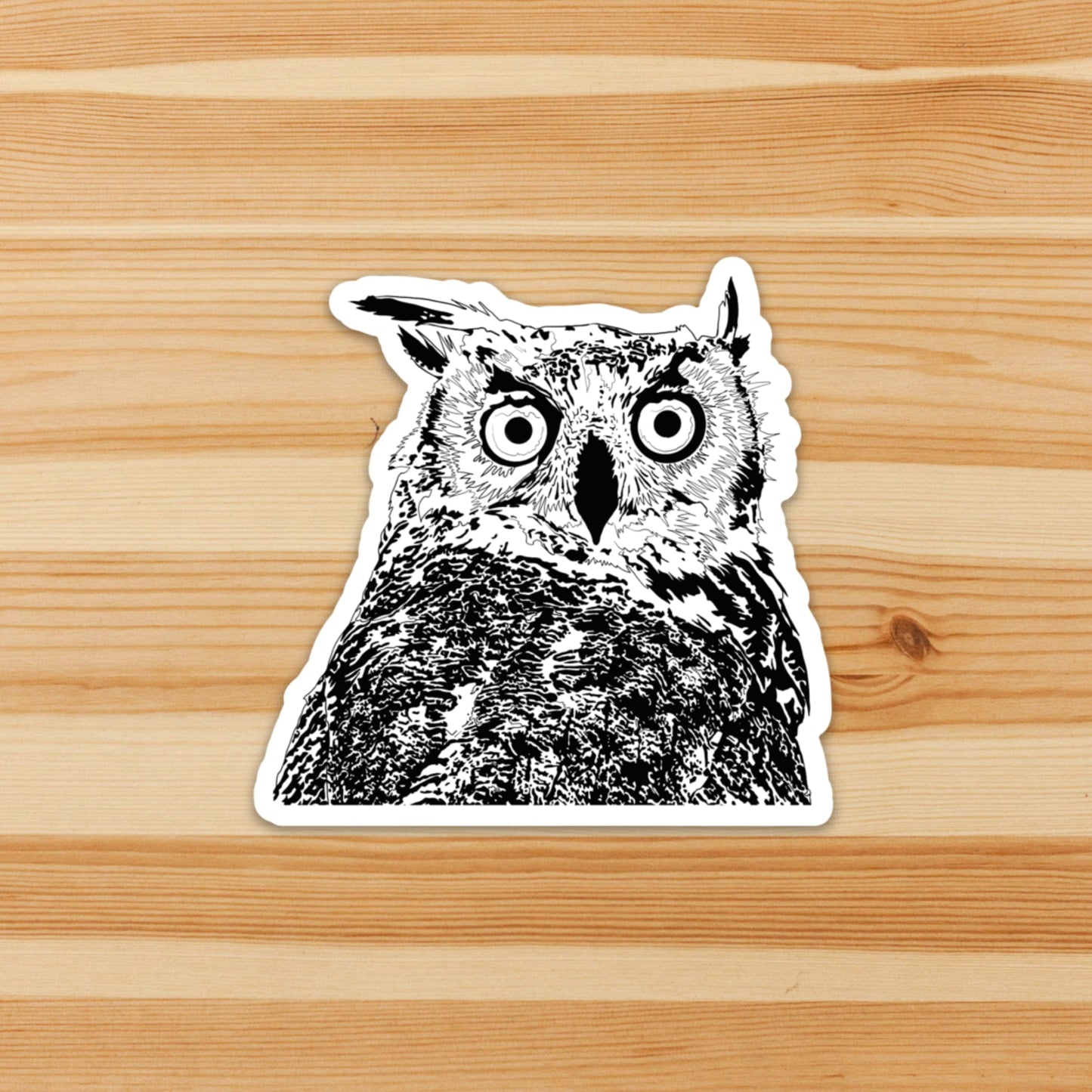 PinkPolish Design Stickers "Stunned Owl" Die Cut Vinyl Sticker