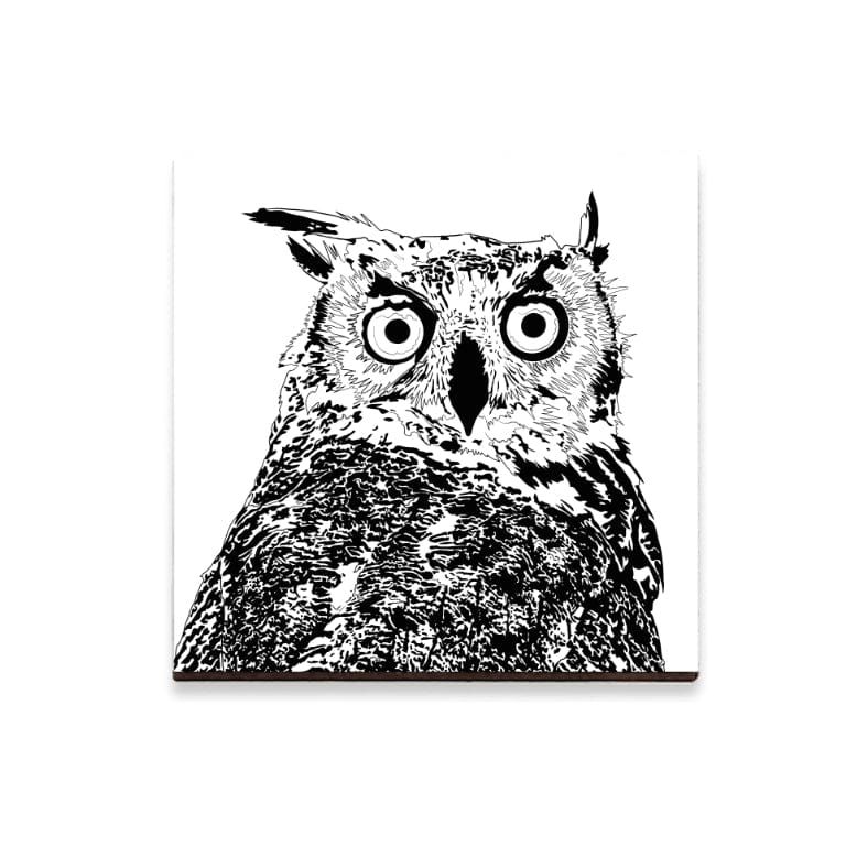PinkPolish Design Magnets "Surprised Owl" Wood Refrigerator Magnet