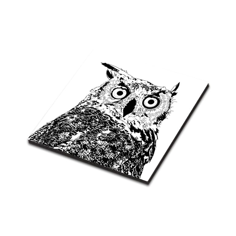 PinkPolish Design Magnets "Surprised Owl" Wood Refrigerator Magnet