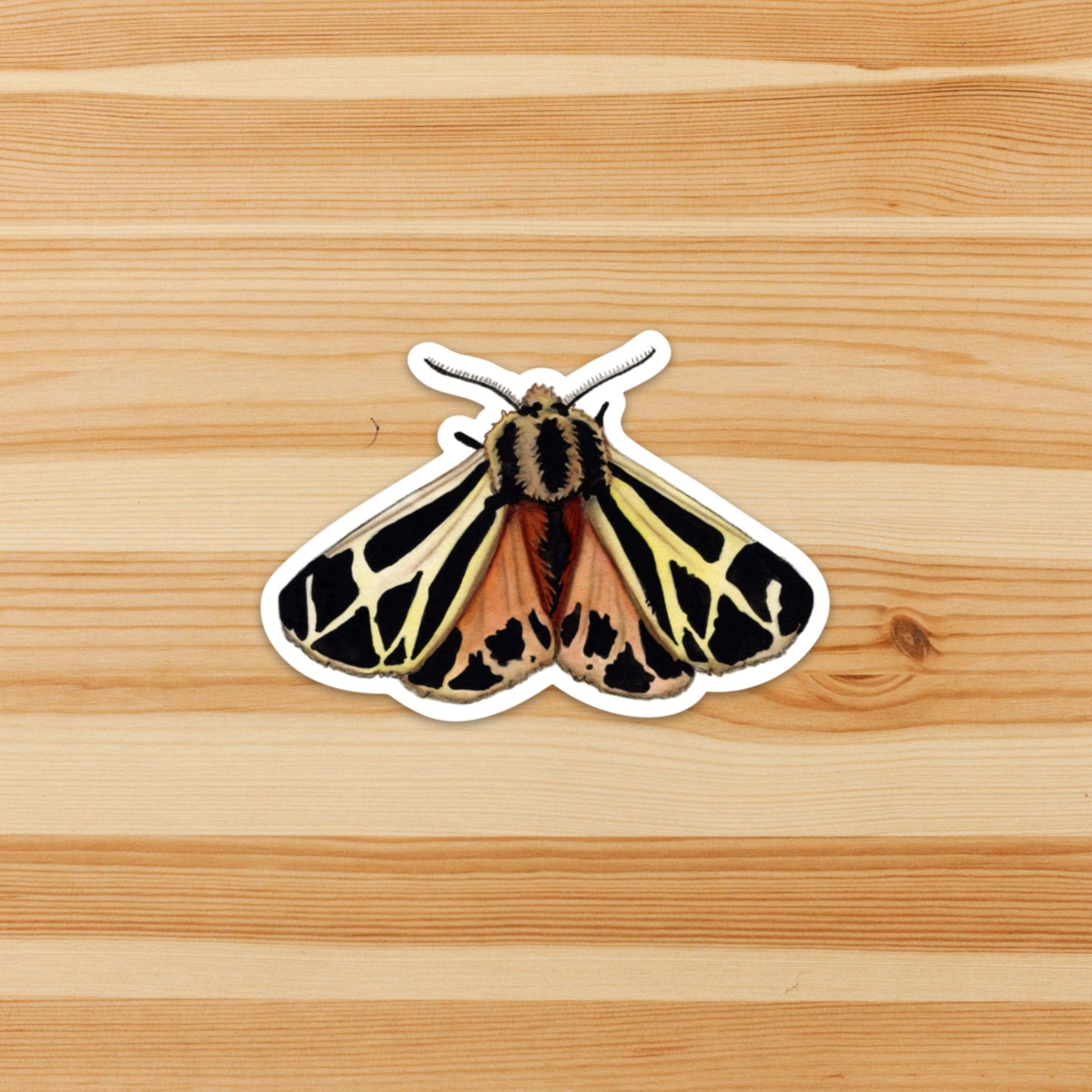PinkPolish Design Stickers "Tiger Moth" Vinyl Die Cut Sticker